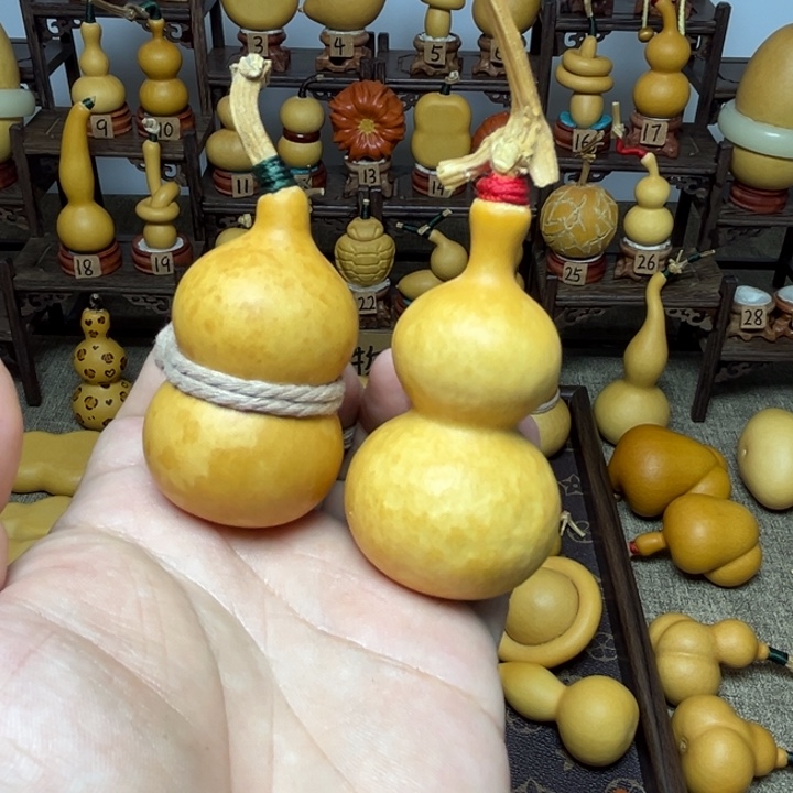 f***0花叶八宝，厚皮响籽