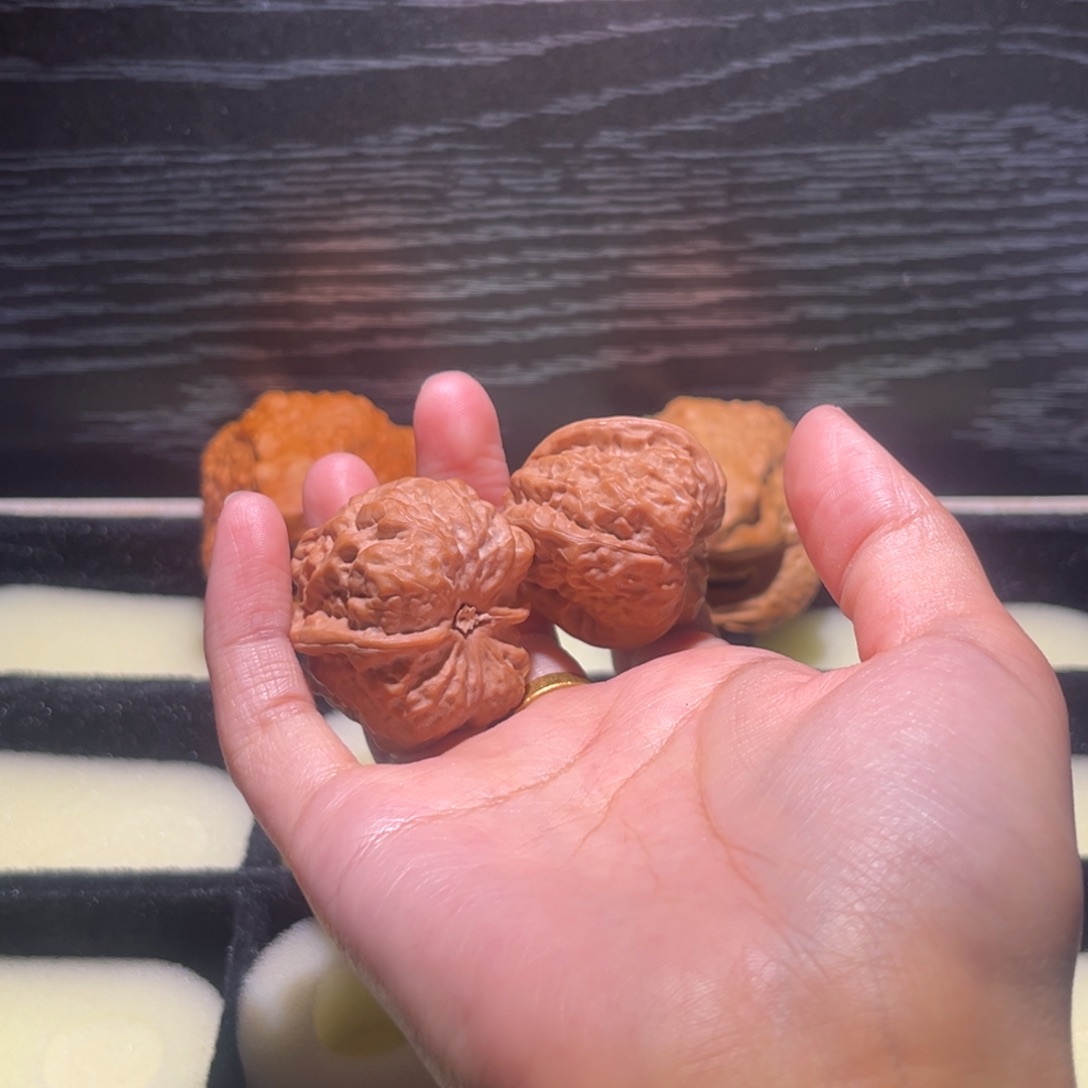 一***人大叶紫檀（黑酸枝木类）蛤蟆