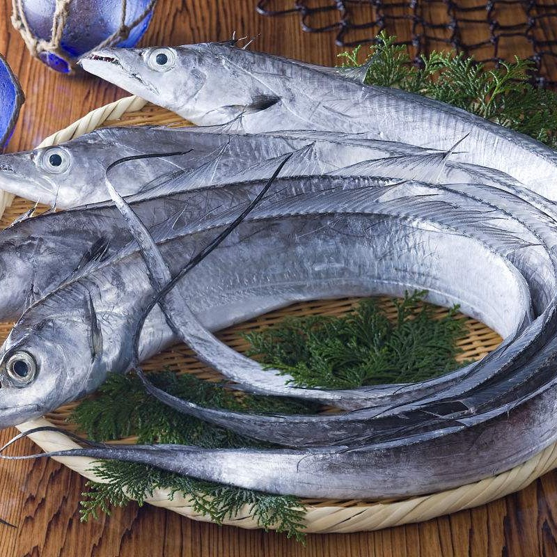 冰鲜国产钓带带鱼带鱼（凌晨刚下船的超级新鲜宰杀请备注）