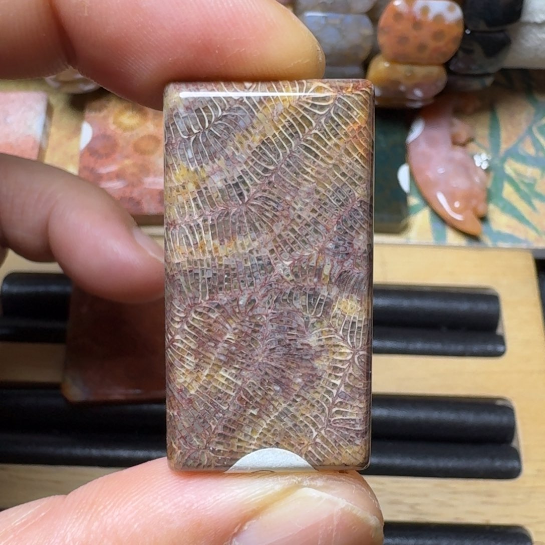 硅化玉纯天然有机玉石 保真色未镶嵌