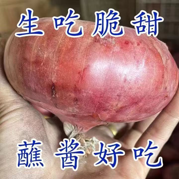 25年新鲜水果扁洋葱可生吃脆甜多汁蔬菜