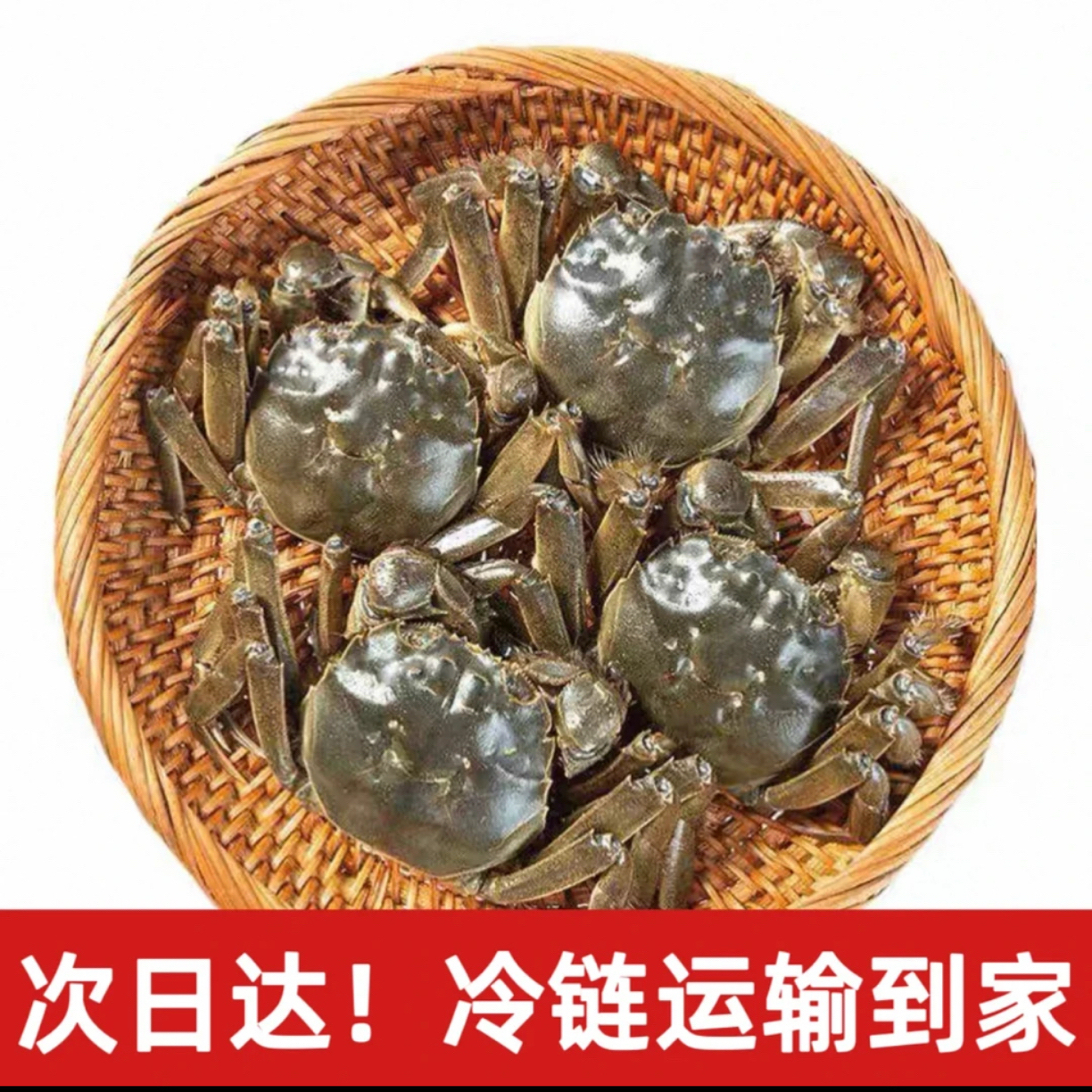【活蟹】盘锦河蟹 全母蟹 1.1-0.8两/只 30只 京东次日达