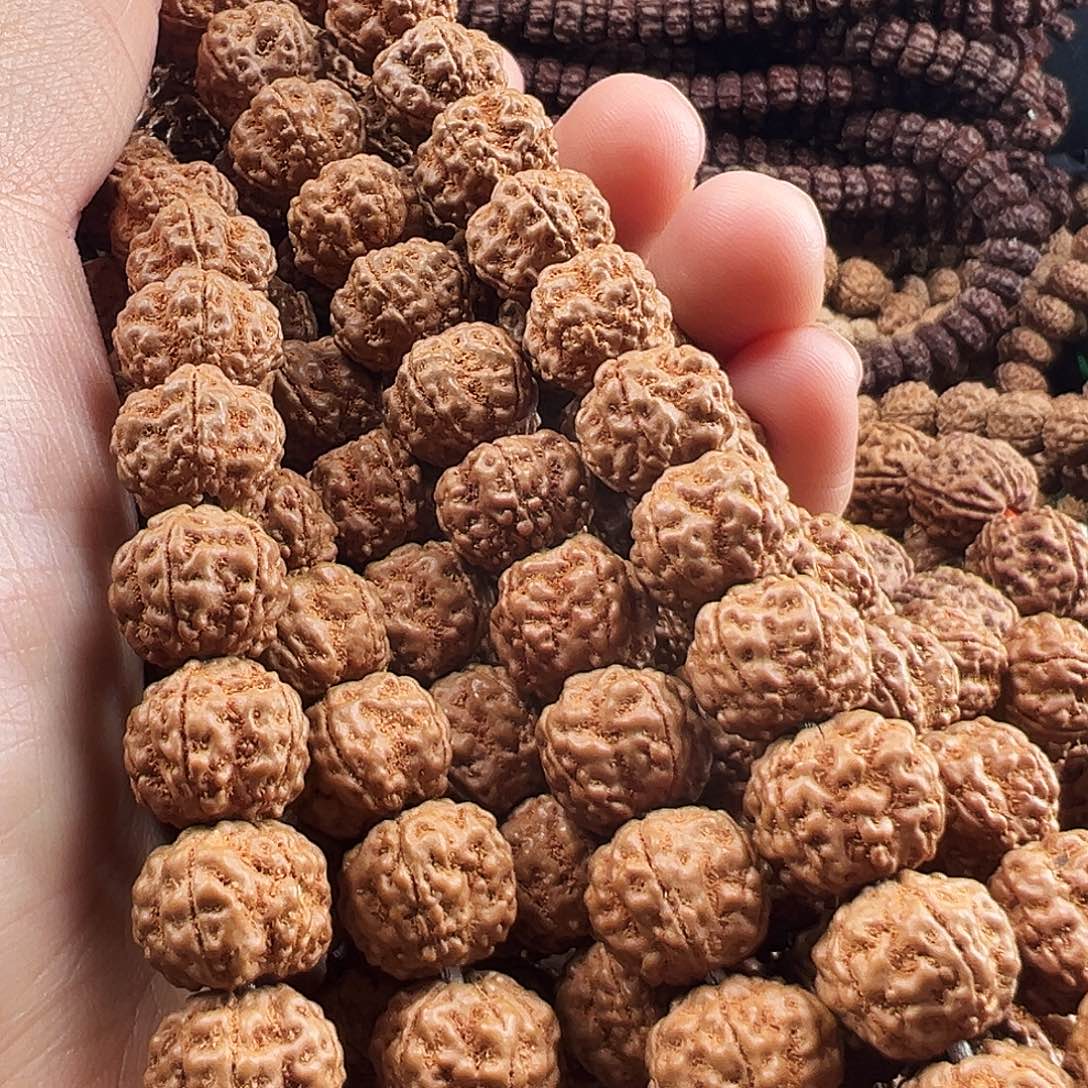 金刚菩提吊坠花魁11m