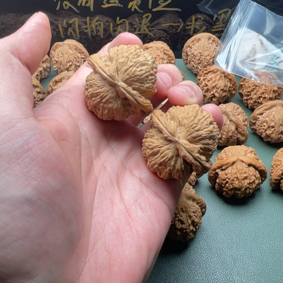 核桃把件40全品球白狮子