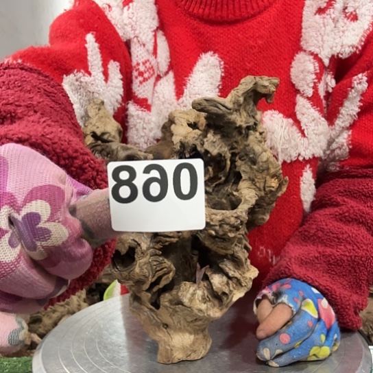 ?*子紫砂的味道很好闻