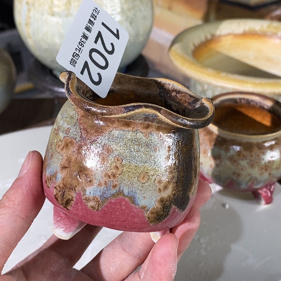 花盆花盆花盆花盆花盆