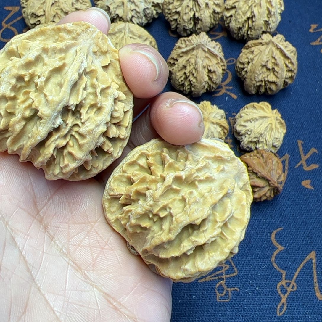文玩核桃把件秦岭野生植物核桃