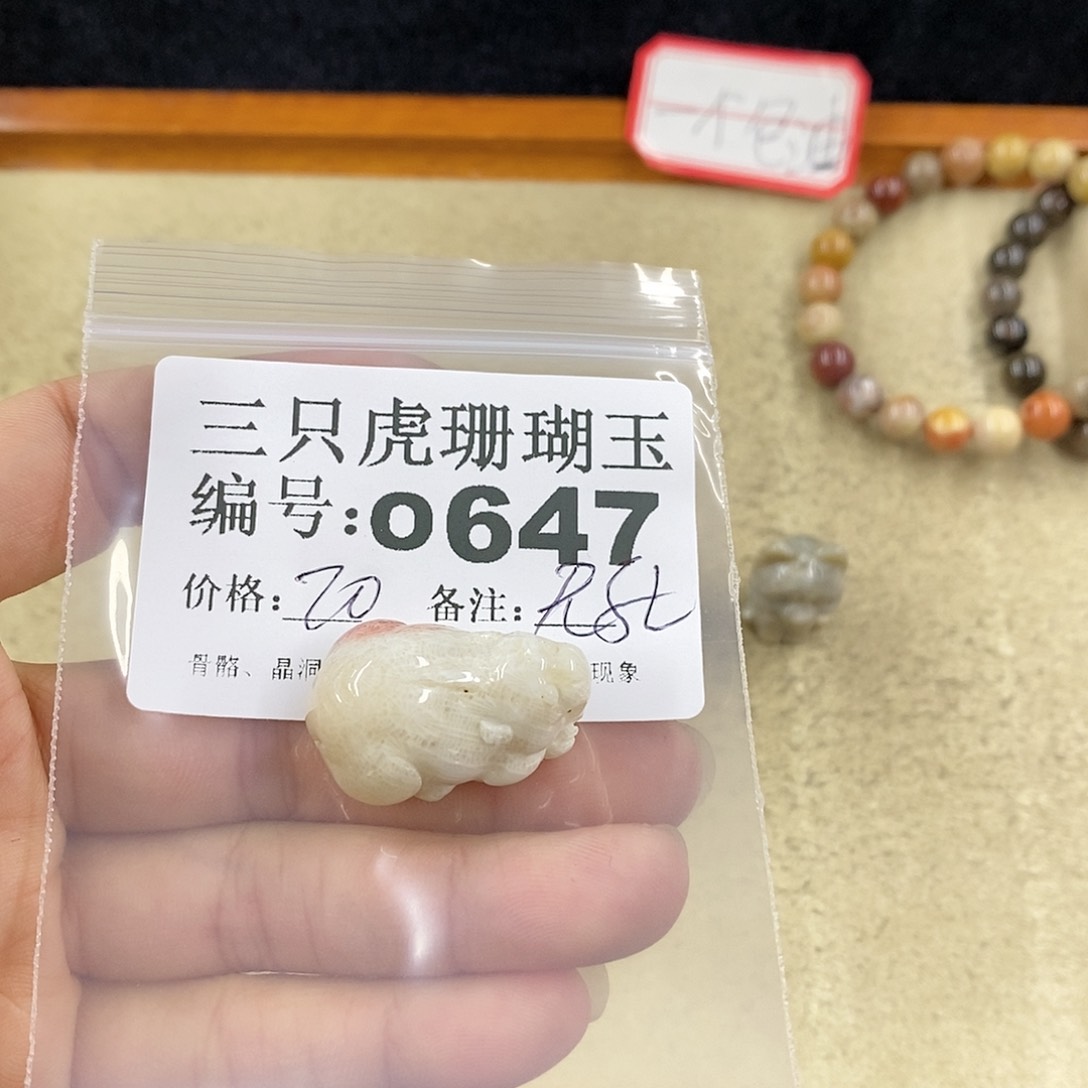 硅化珊瑚（珊瑚玉）1未镶嵌小*