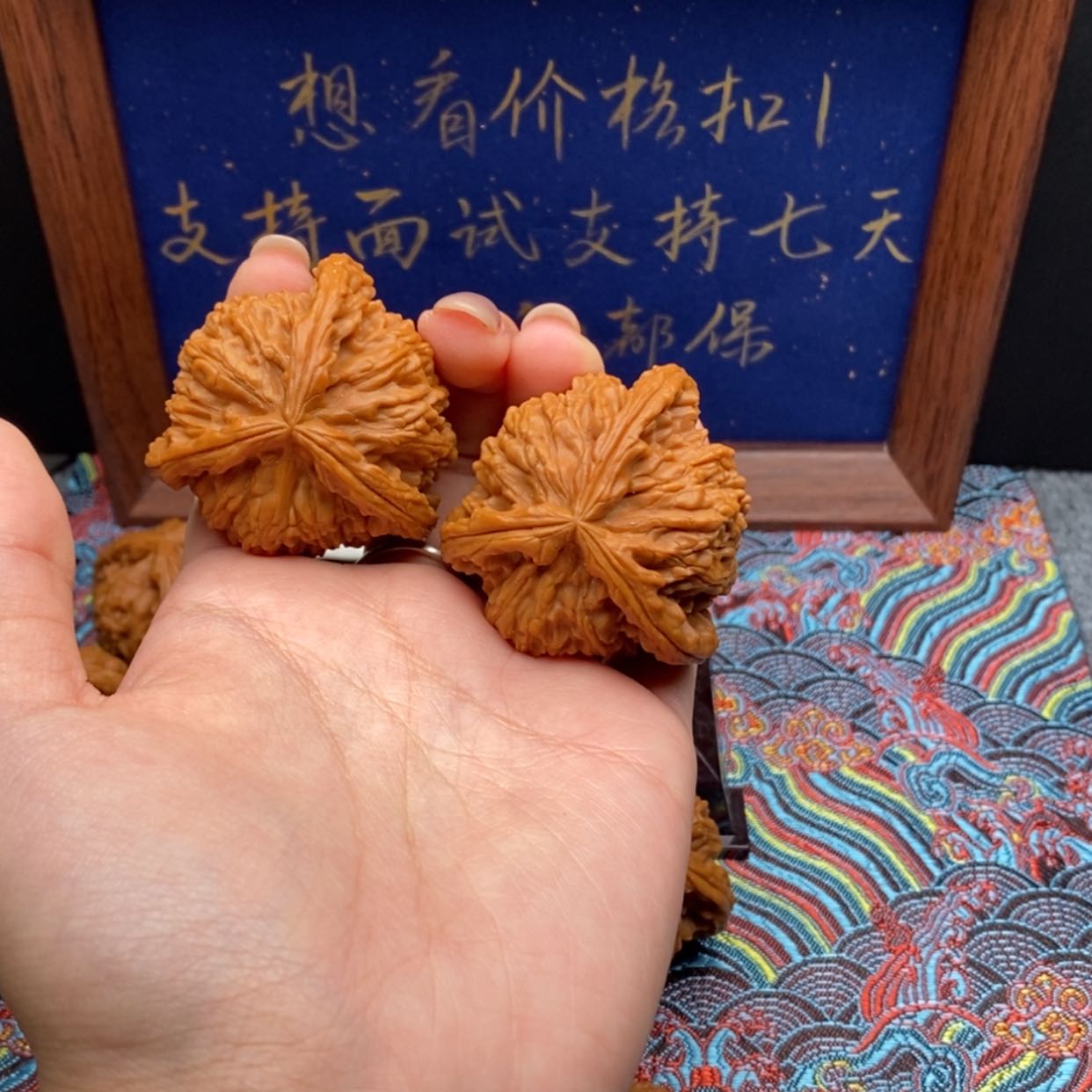 【闪购商品】q****r白狮