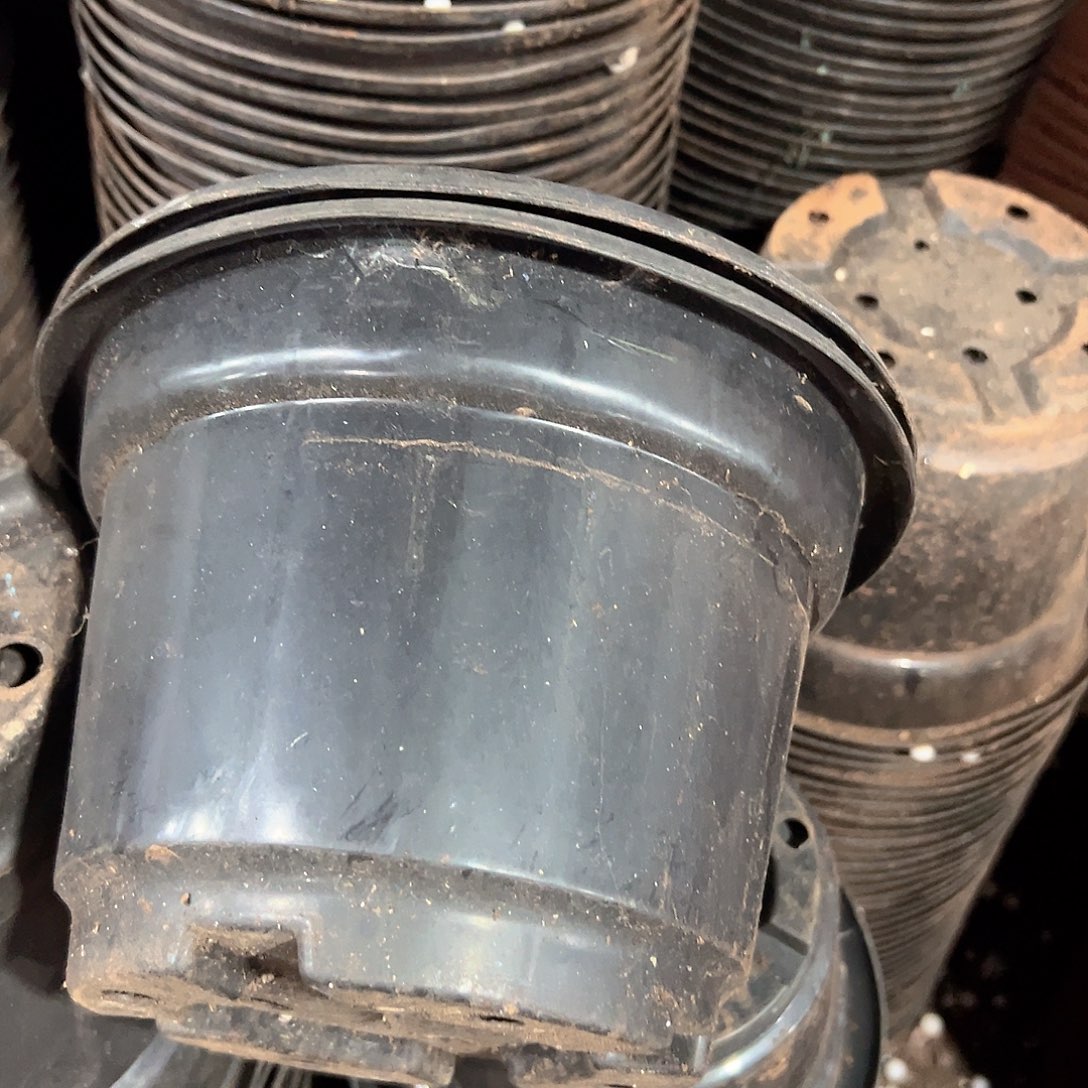 黑圆盆21口径14.5高 10个