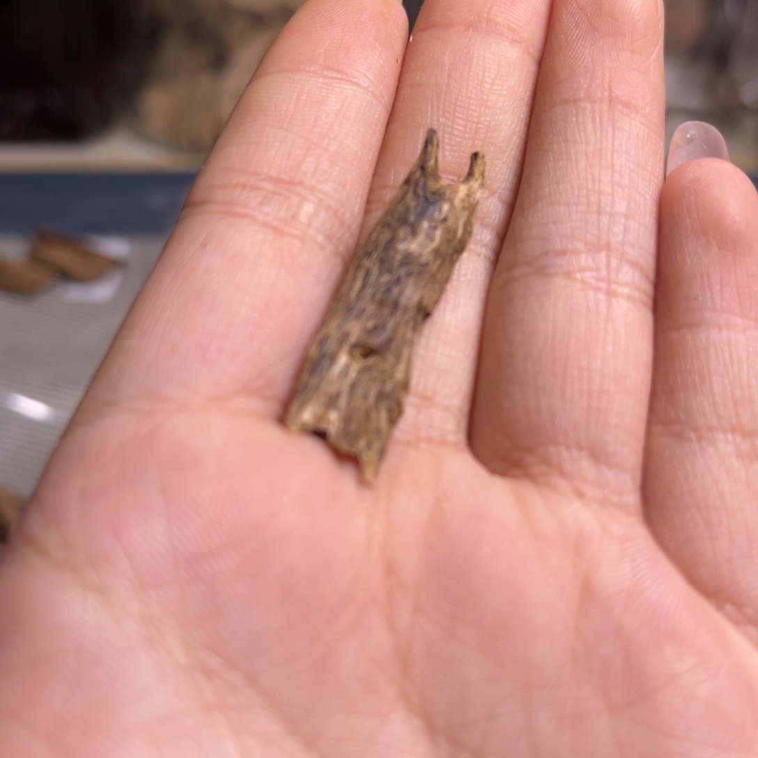 香料海南大山根部奇楠0.8克重福利