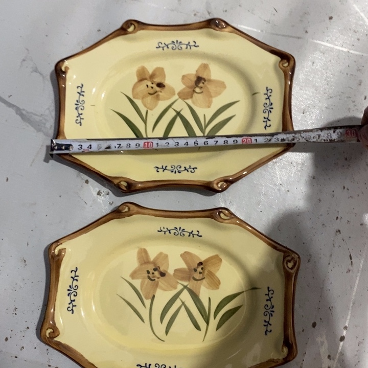 瓷片手绘釉下彩盘子一对