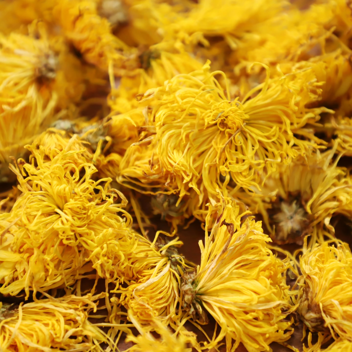  金丝皇菊 150克/盒 古茶寻