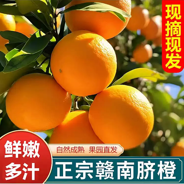 赣南脐橙新鲜现摘皮薄肉厚多汁爆甜应季水果