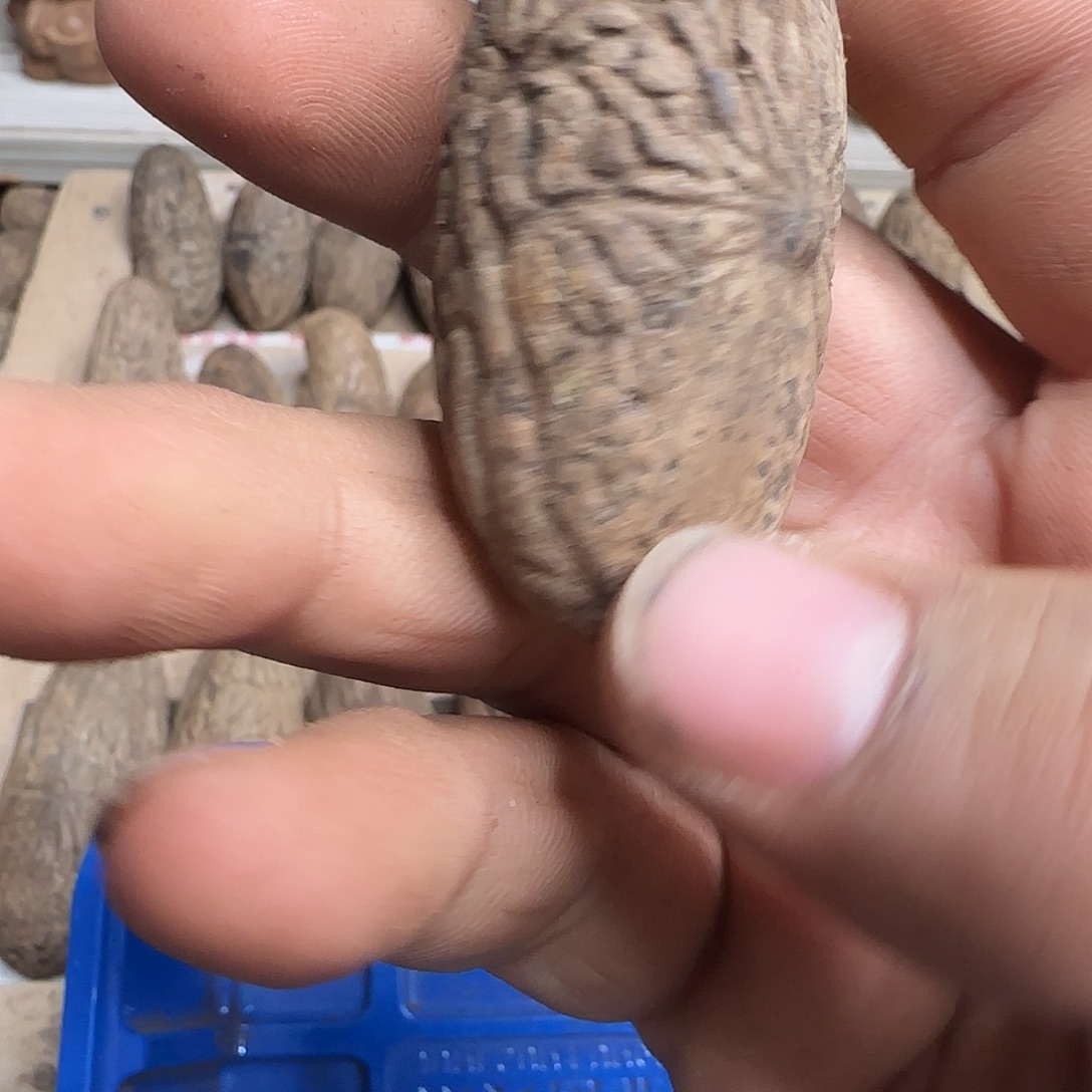 瑶***淇千眼菩提吊坠这就是一部很好看