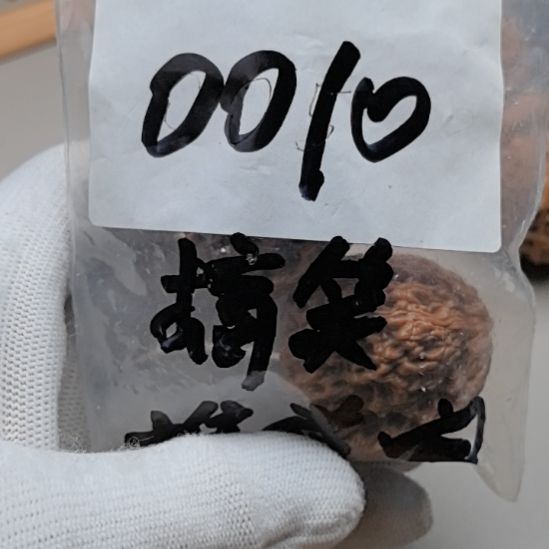 搞***猫文玩核桃把件打底南疆石