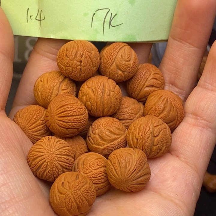 桃核吊坠秦岭龙纹14尺寸