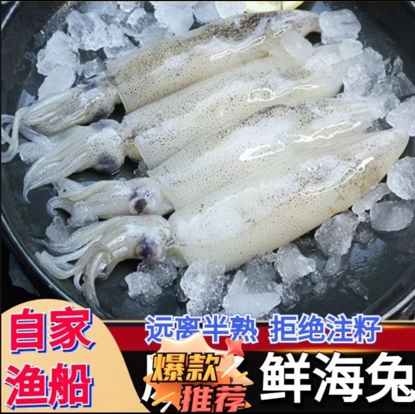 4斤重公鱿鱼笔管  一斤一盒  顺丰/京东包邮