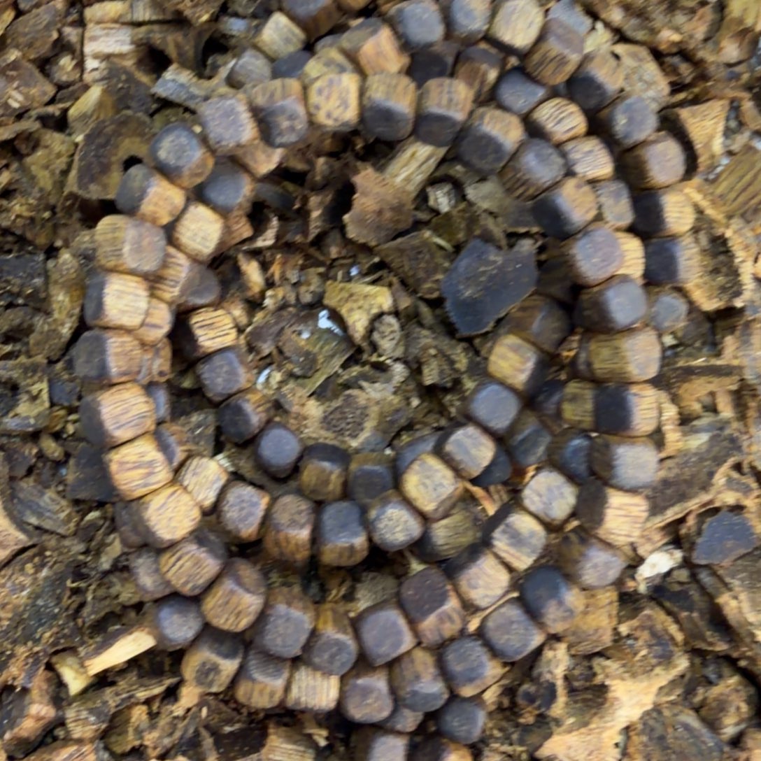 沉香碎屑沉香0.5方糖多圈12克