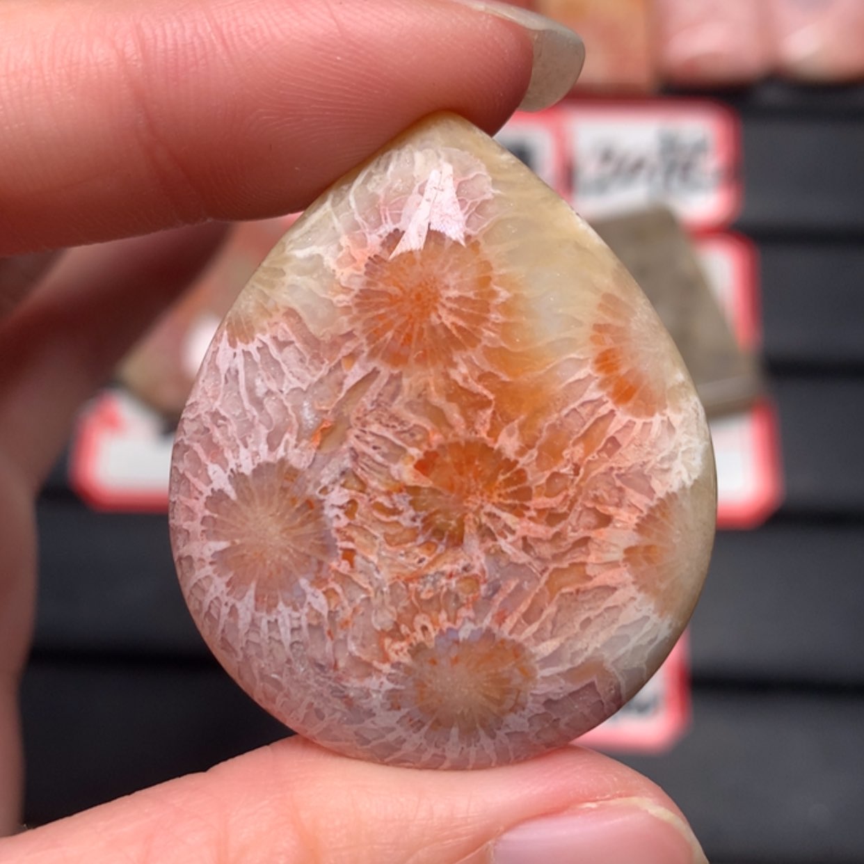 【闪购商品】硅化玉颈饰未镶嵌鳄***泪