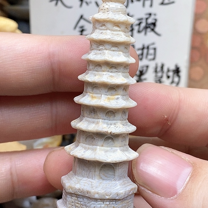 颈饰未镶嵌硅化珊瑚（珊瑚玉）