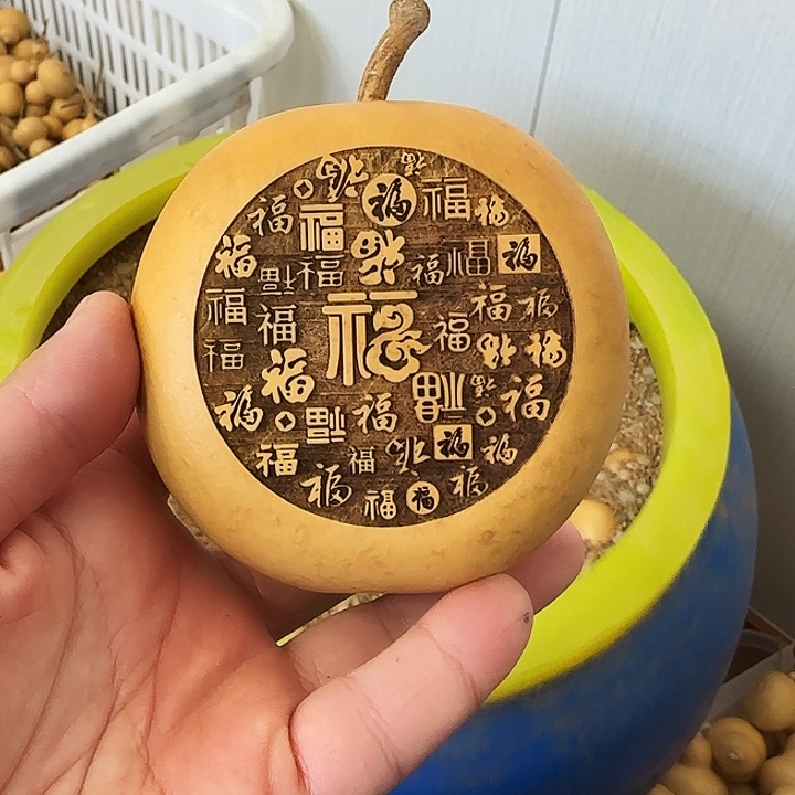 昊阳精品葫芦直播间放漏