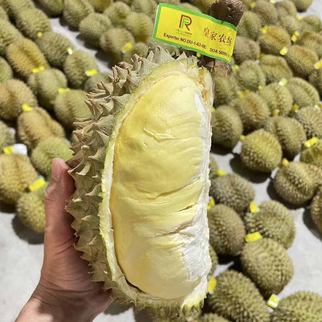 皇家农场新鲜金枕B果核小4-4.8斤整果金枕泰国