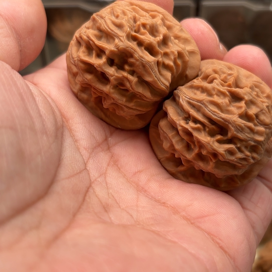 文玩核桃把件天地圆狮子头