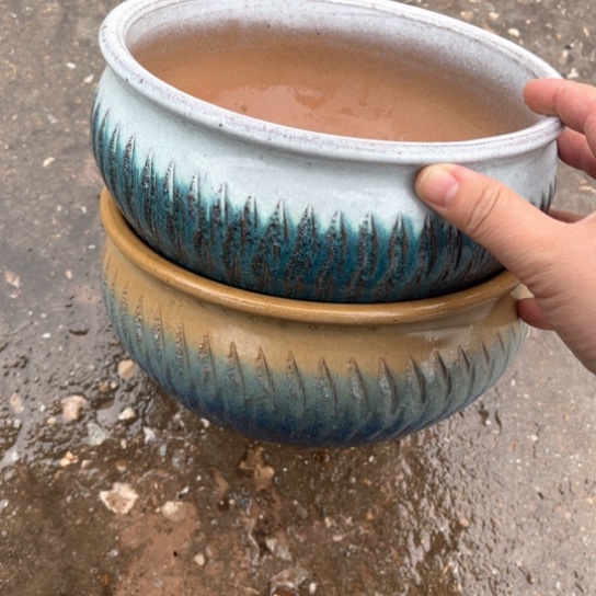 红陶口20高10正品