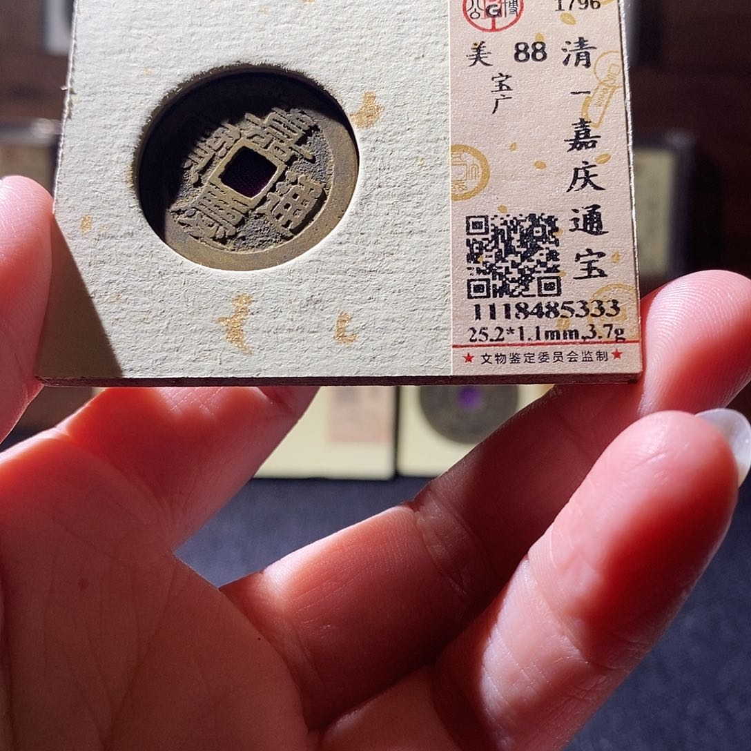 贝壳14 恭喜发财恭喜发财