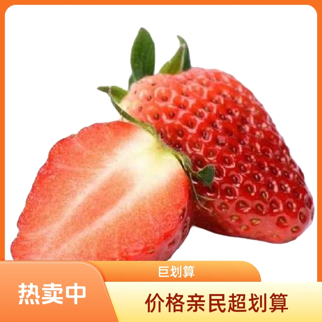 【天仙醉草莓】现摘现发孕妇可吃单盒净重300g京东包邮