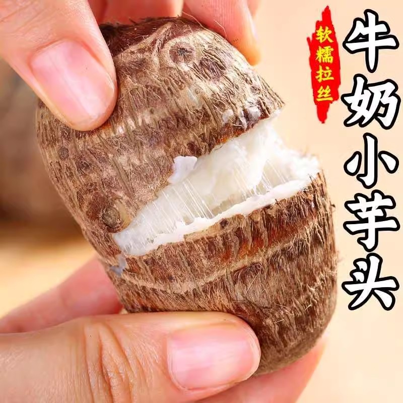 牛奶芋头毛芋头山东牛奶小芋头芋艿农家自种新鲜蔬菜软糯香甜香芋