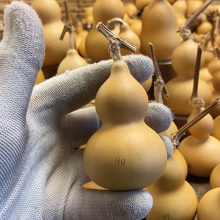 文玩葫芦 完美主义者 慎拍90