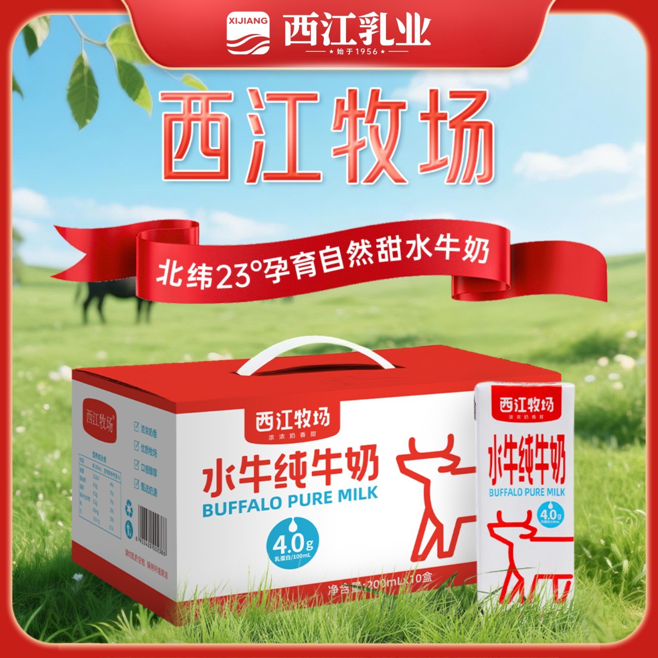 西江乳业西江牧场4.0g蛋白营养广西水牛奶200g/盒