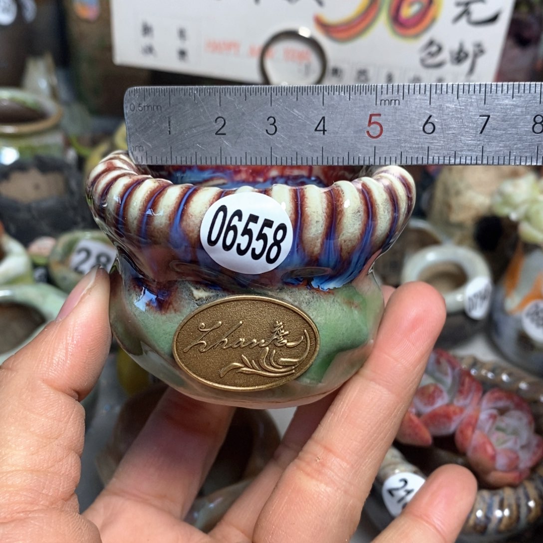 特价花盆拍5送一个小礼物