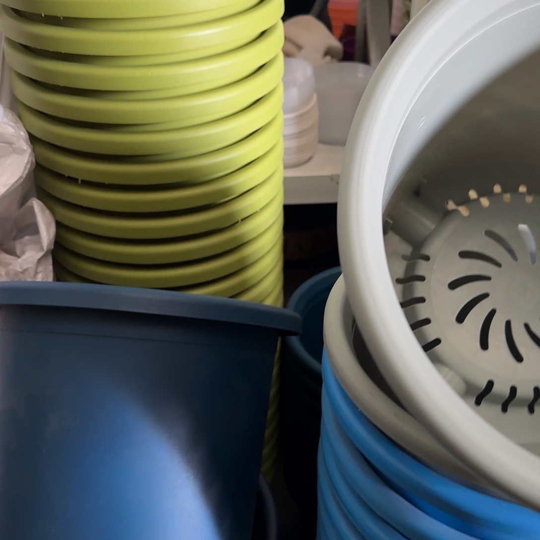 树脂四季6号无托7个灰白微瑕