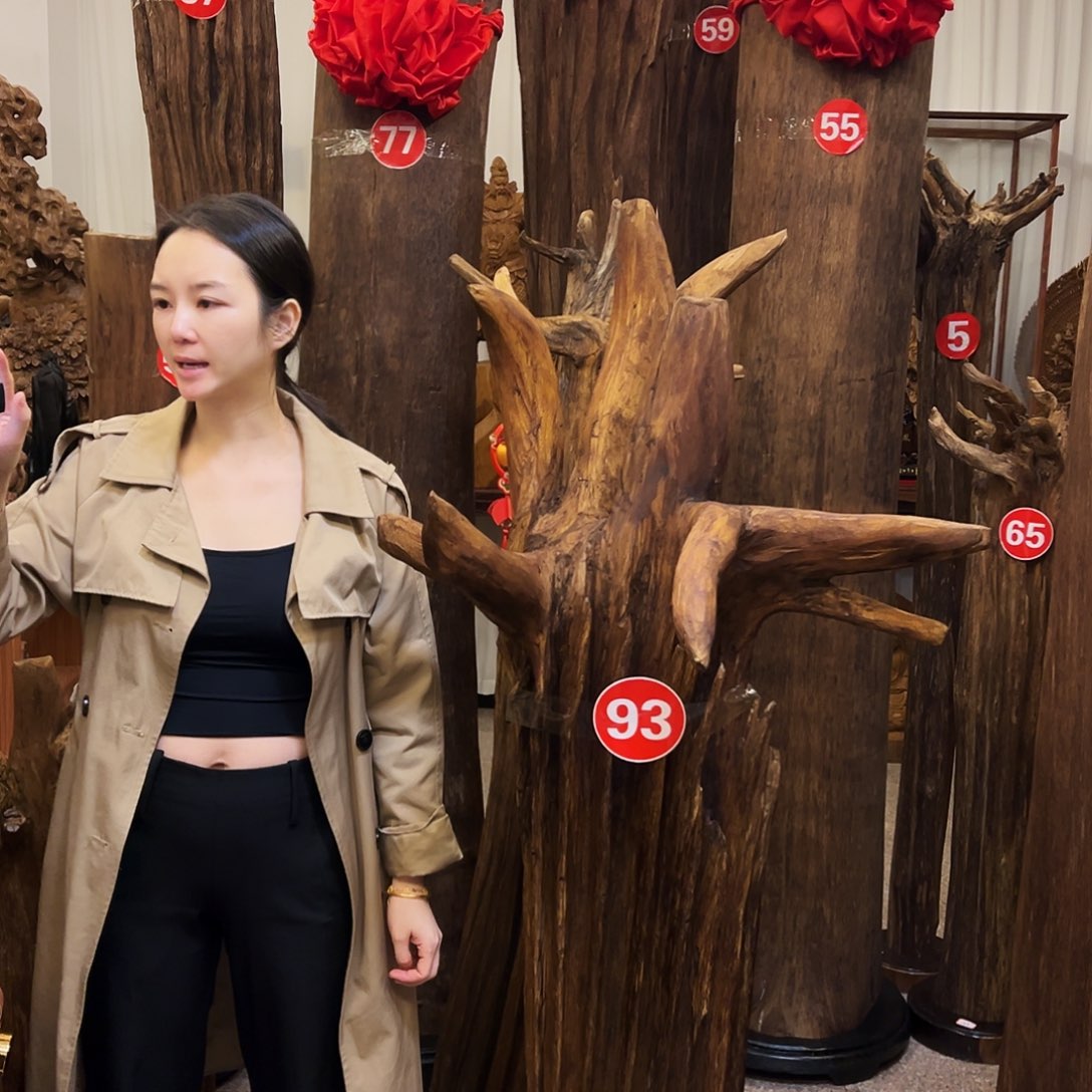 山***人沉香原材料123456