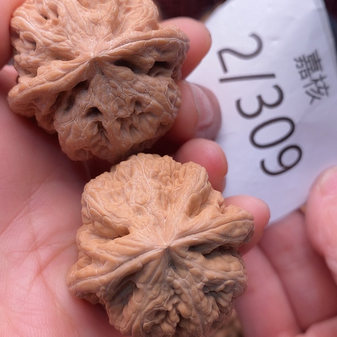 39全品粗筋八筋聚顶贼明显