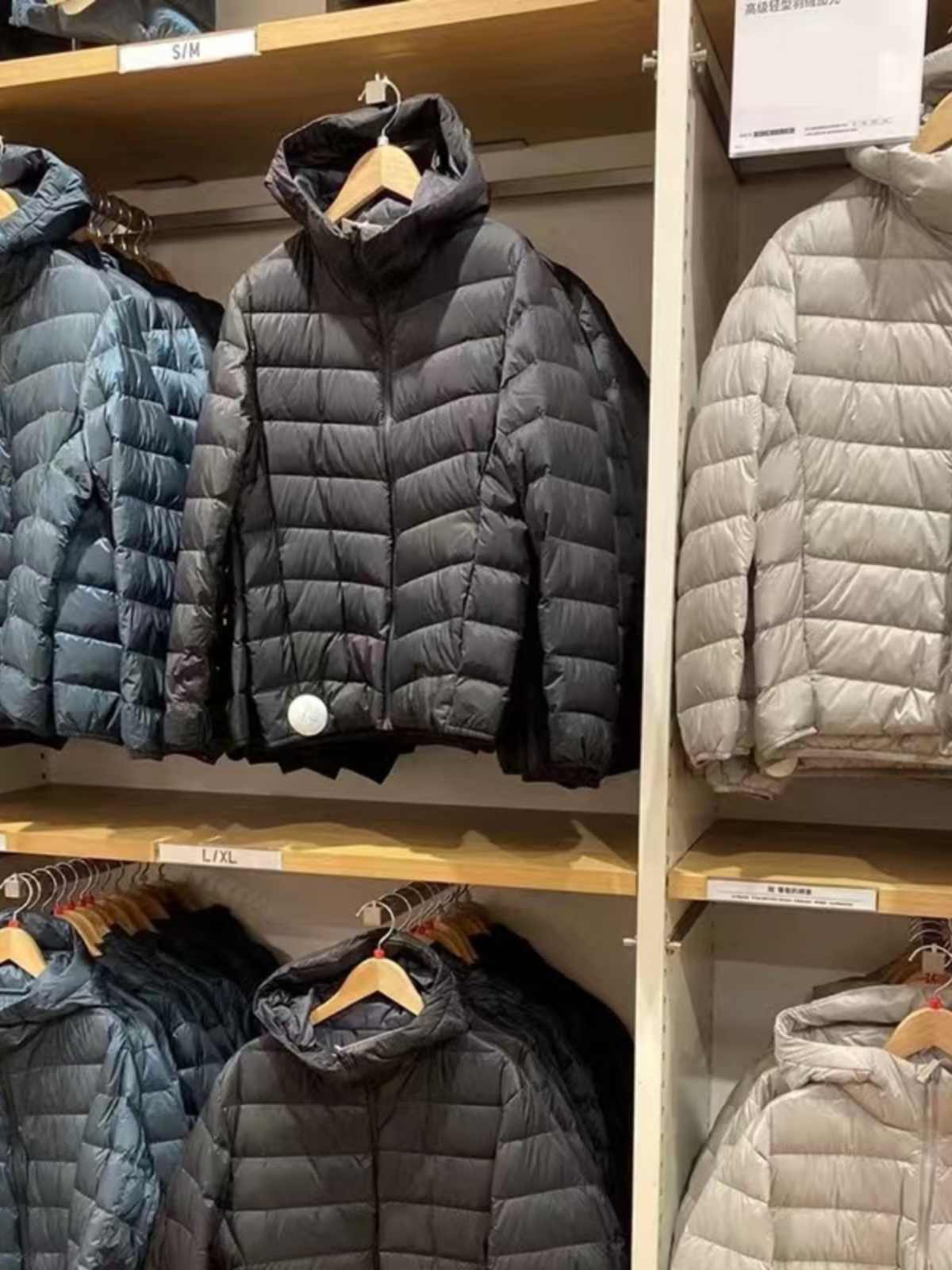 2025羽绒服男女春秋冬季鸭绒轻薄立领休闲大码短款中青年防风外套