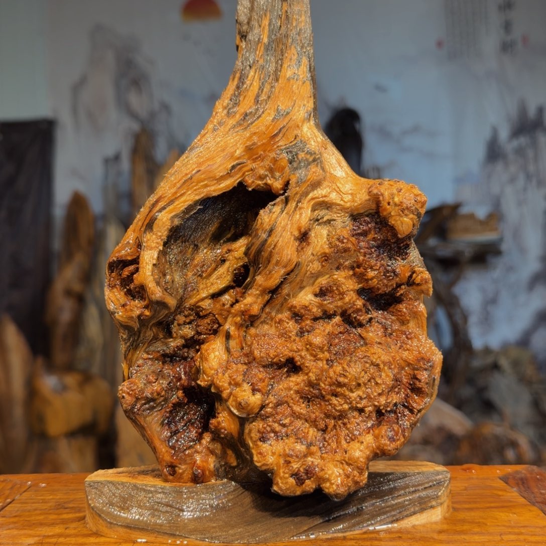 享***下木三丰琥珀木 天然摆件34