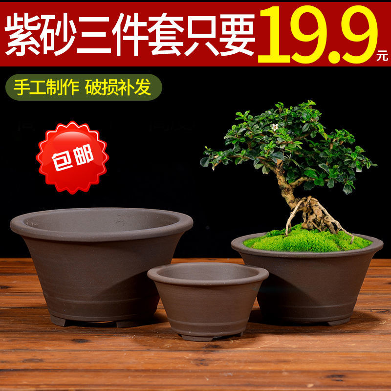 紫砂粗陶瓷花盆多肉菖蒲盆栽文竹手彩宜兴拇指小创意室内