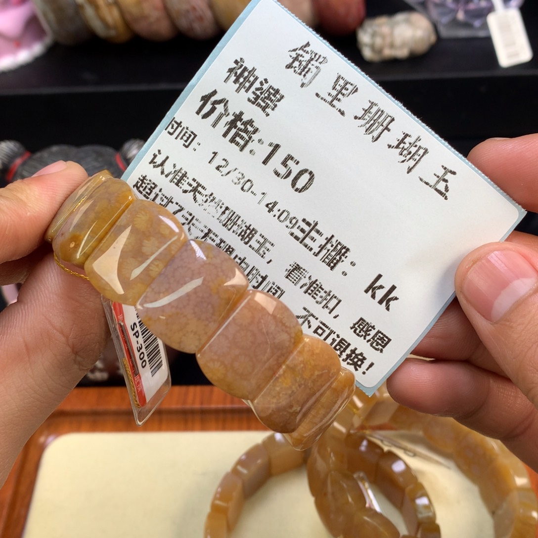 神***婆硅化珊瑚（珊瑚玉）未镶嵌颈饰