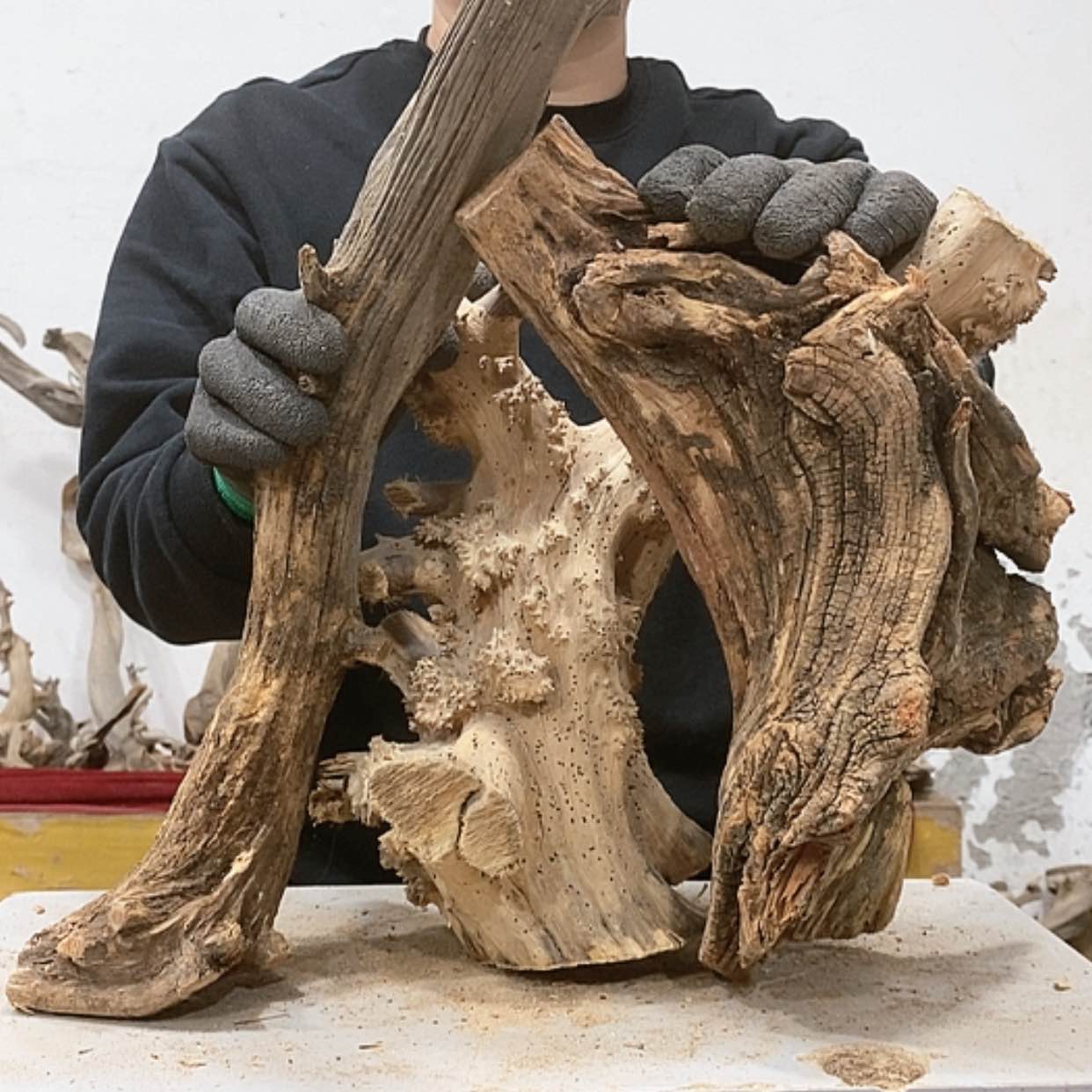 【闪购商品】柏木用****1我们都是好孩子