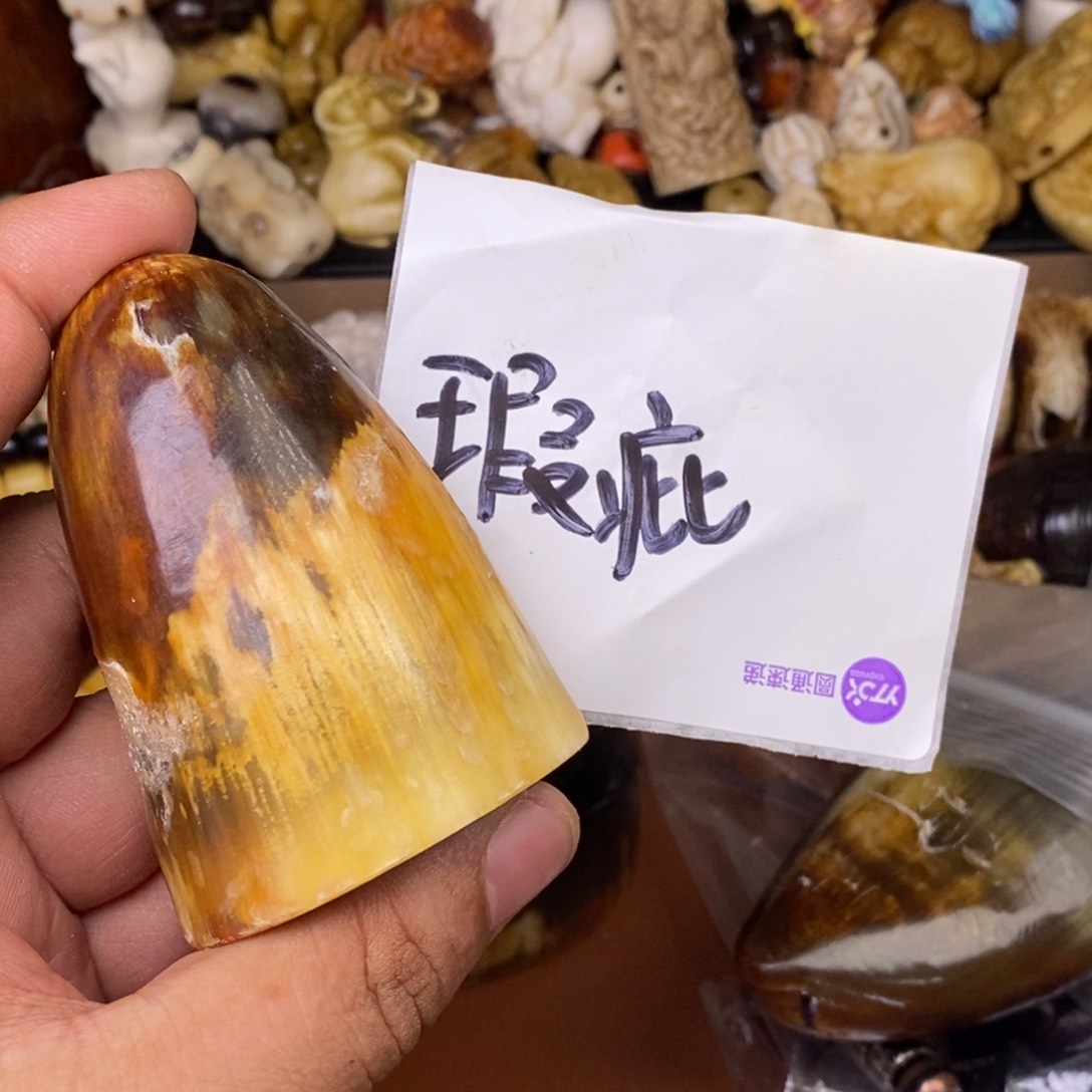 其他驼骨人工样子