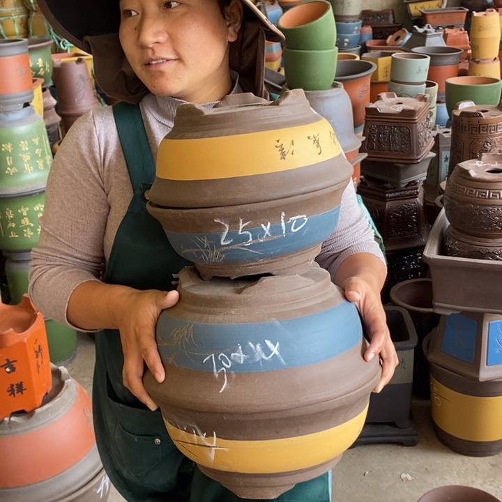 紫砂花盆盆栽花卉苗木种植