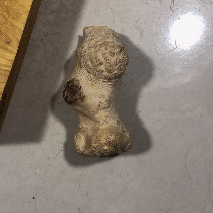 A***～木木料木料木料木料