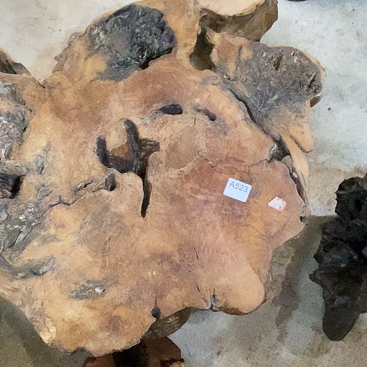 小*523株木底座随行根艺