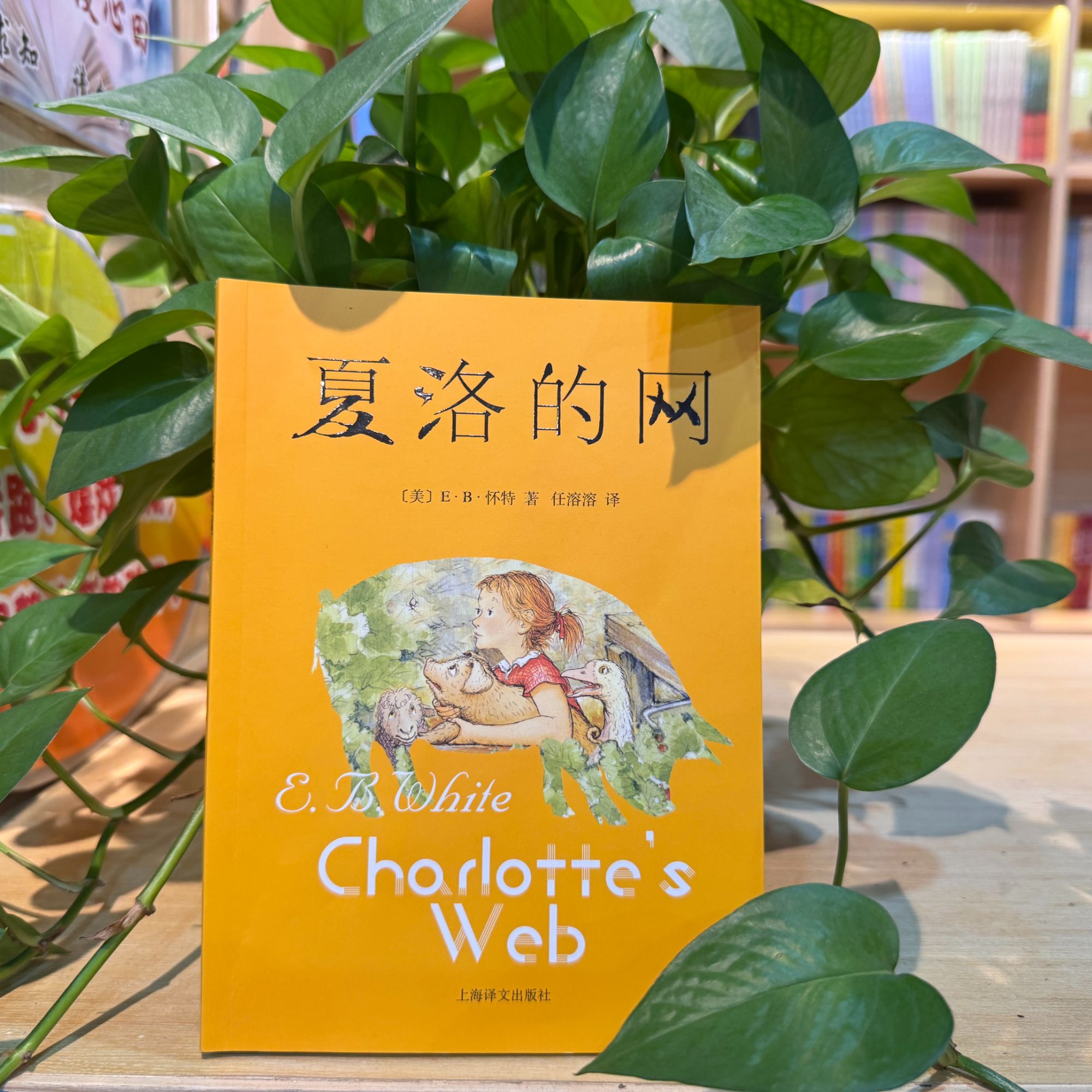 三年级必读课外书 夏洛的网 