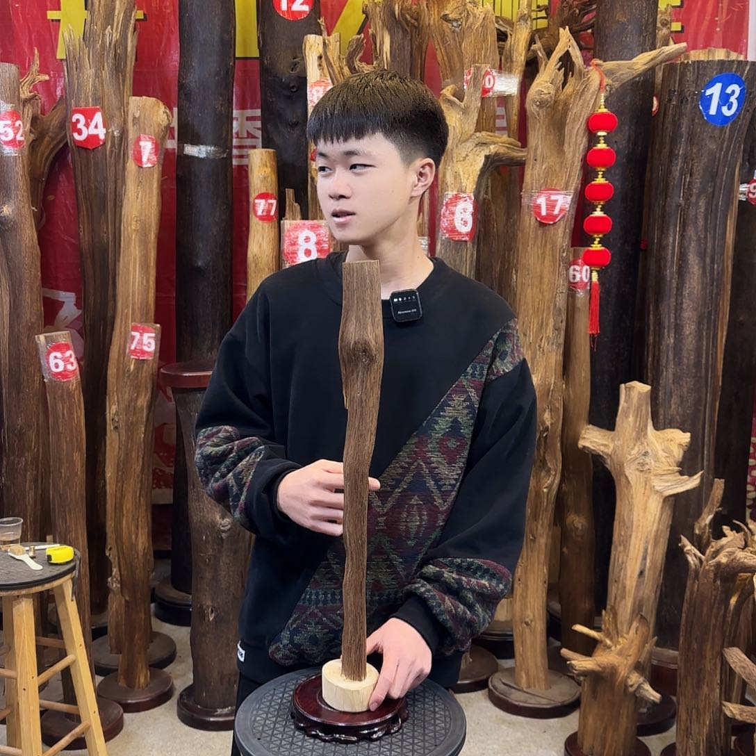 沉香木摆件海南沉香