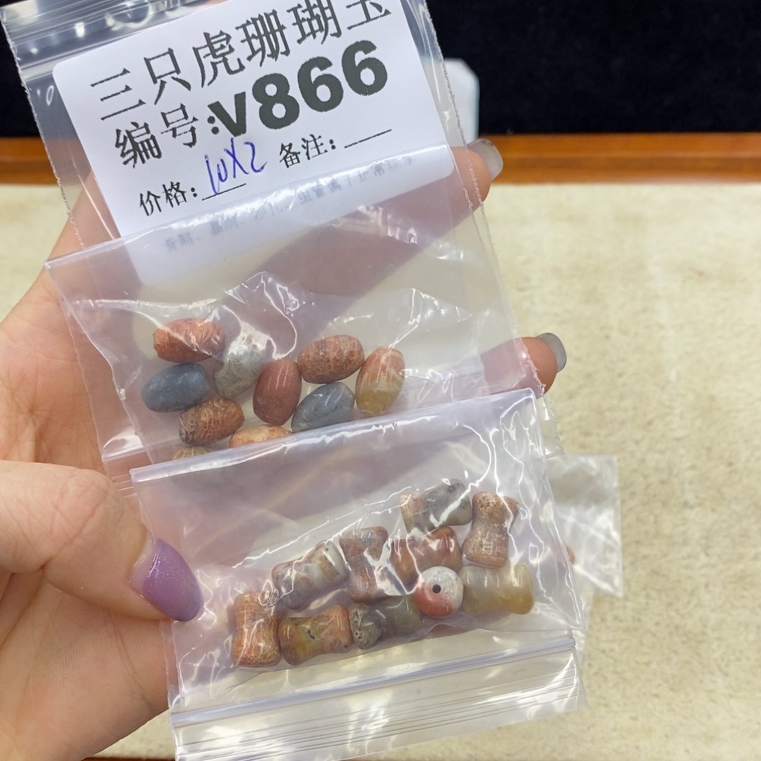 硅化珊瑚（珊瑚玉）未镶嵌1梓*